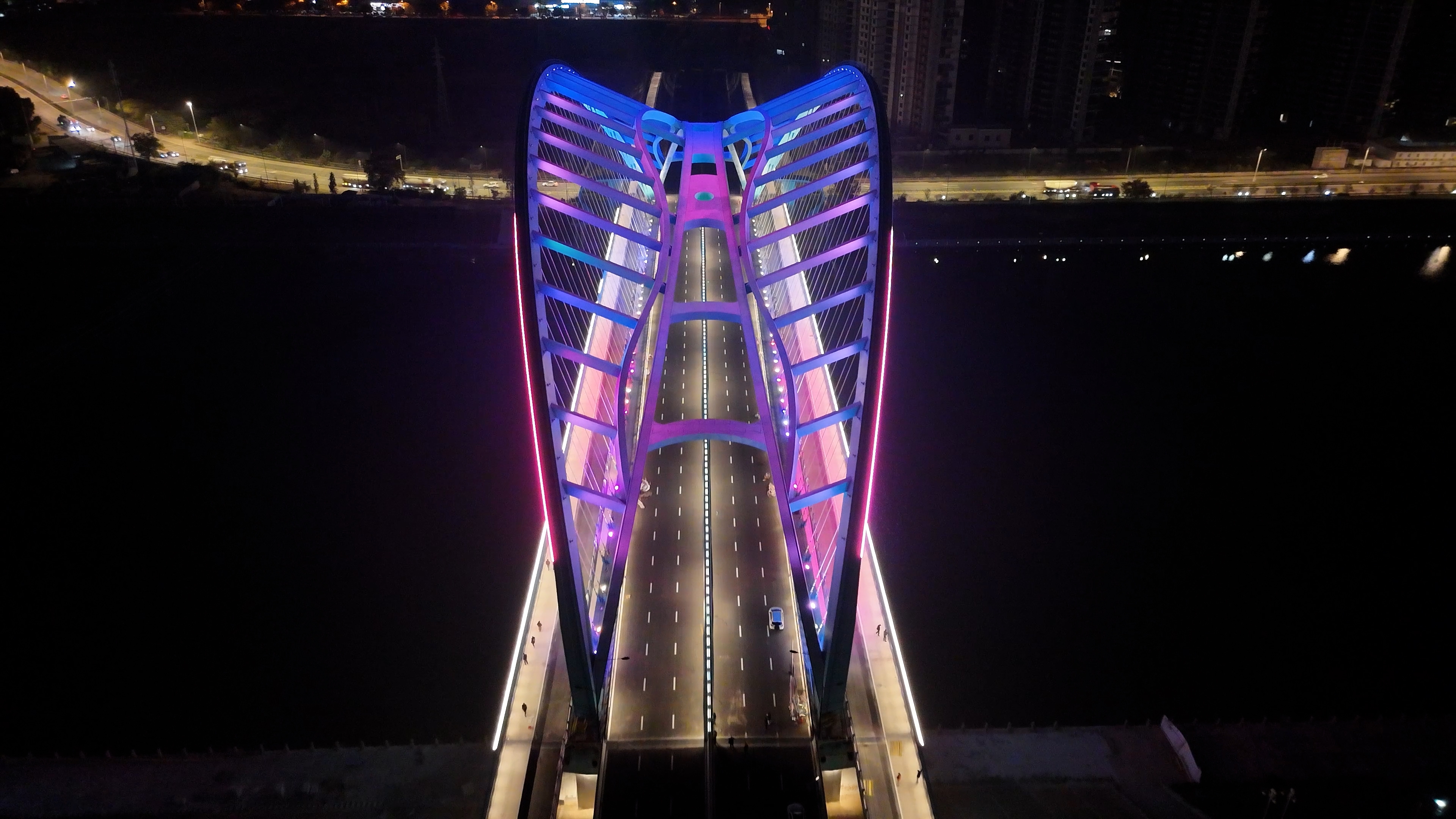 浙江单跨最大下承式系杆拱桥——好溪大桥通过竣工预验收